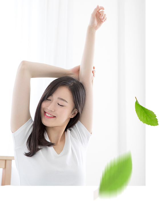 소개 사진3