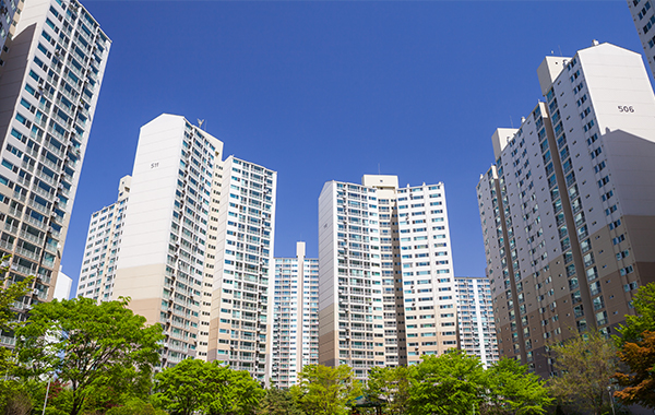 사업소개