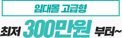 고급형
