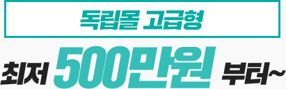 고급형